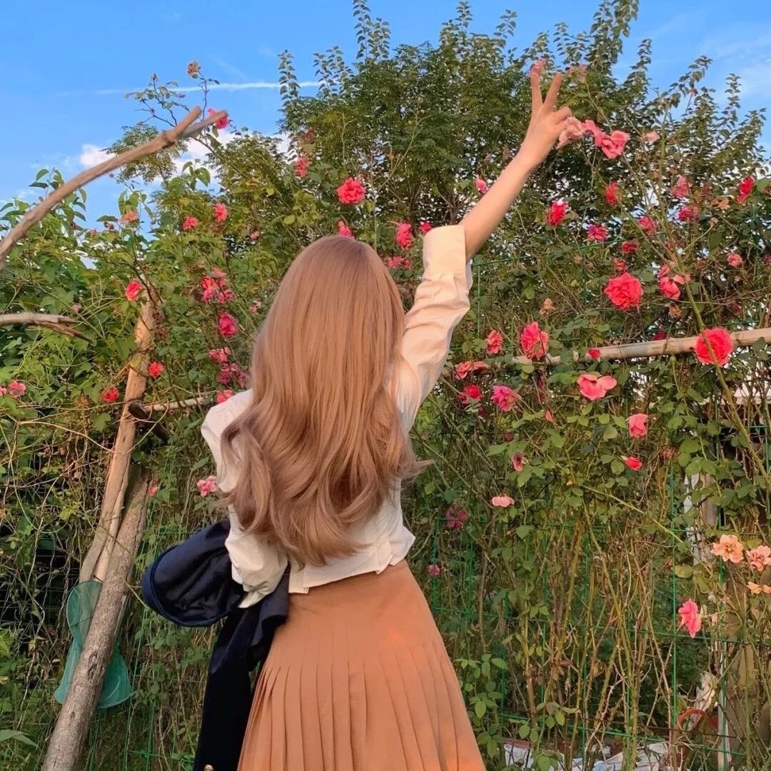 山茶花飘零